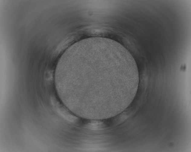 X0000112380278200909101354