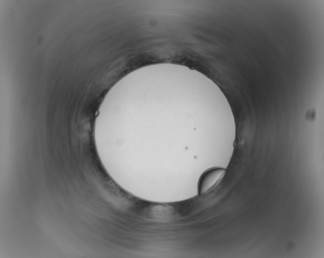 X0000112380279200909101354