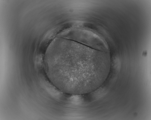 X0000112380280200909101354