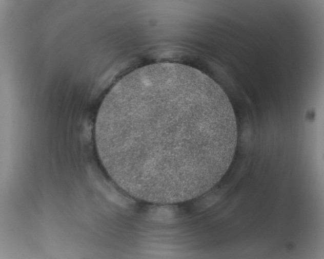 X0000112380282200909101354