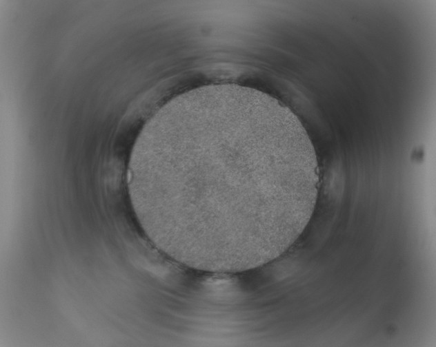 X0000112380283200909101354