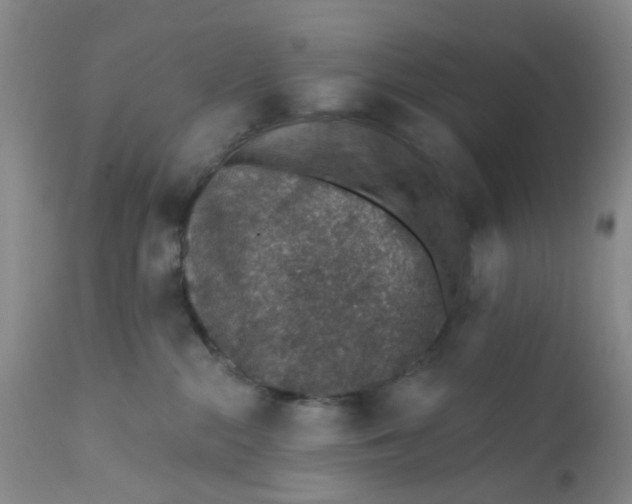 X0000112380284200909101354