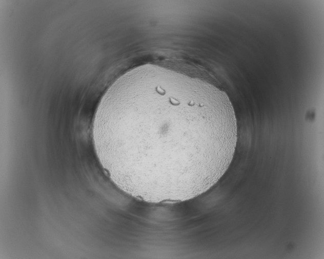 X0000112380285200909101354