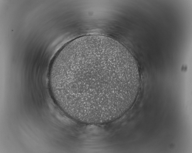 X0000112380290200909101353