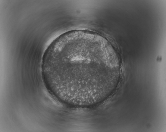 X0000112380292200909101353