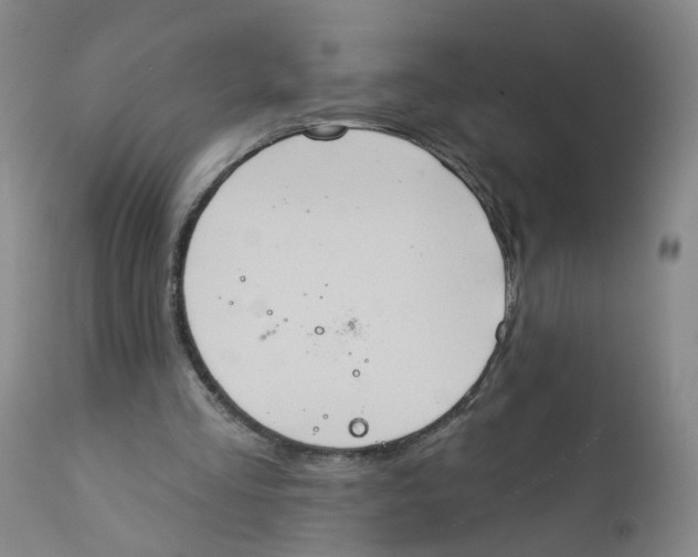 X0000112380293200909101353