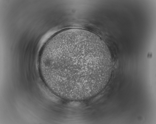 X0000112380294200909101353