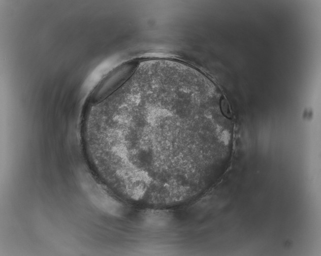 X0000112380296200909101353