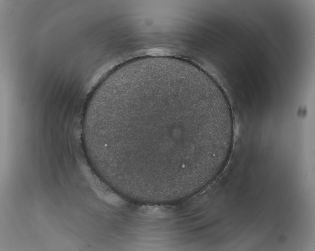 X0000112380297200909101353