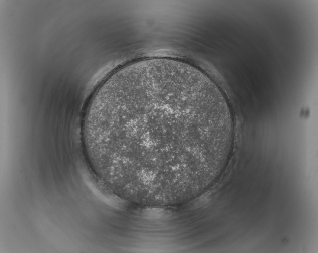 X0000112380298200909101353