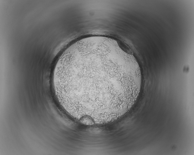 X0000112380299200909101353