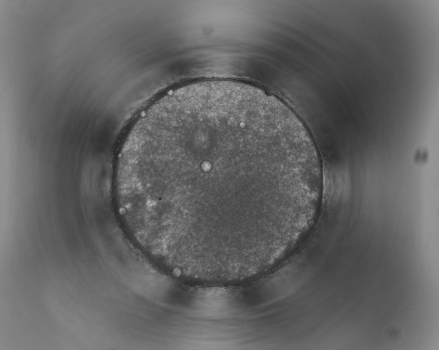 X0000112380301200909101353