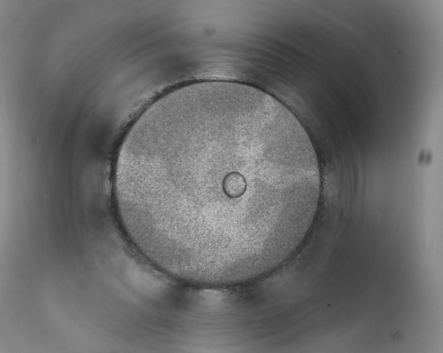 X0000112380302200909101353