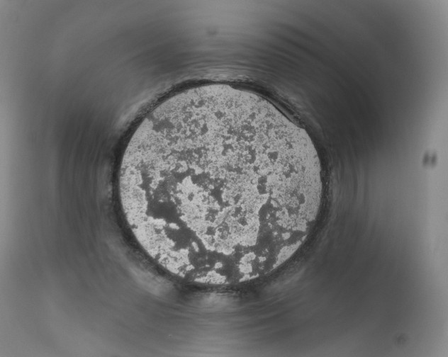 X0000112380303200909101353