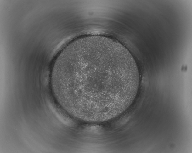 X0000112380304200909101353