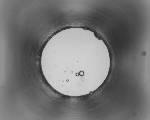 X0000112380305200909101353