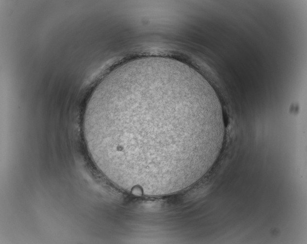 X0000112380306200909101353