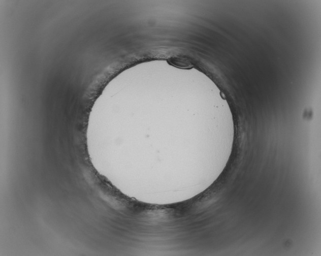 X0000112380307200909101353