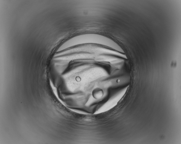 X0000112380308200909101353