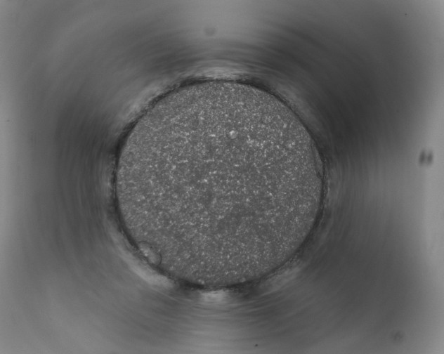 X0000112380309200909101353