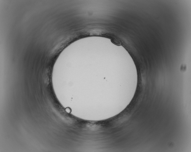 X0000112380311200909101353