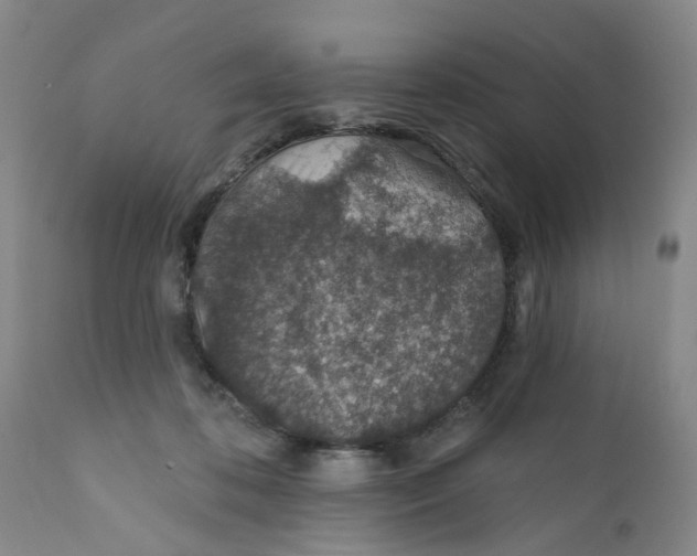 X0000112380316200909101353