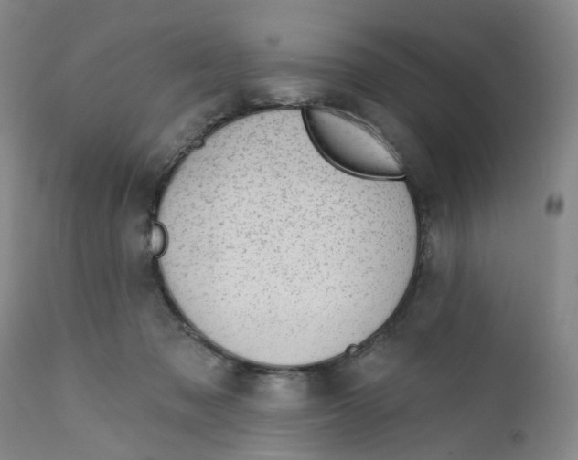 X0000112380317200909101353