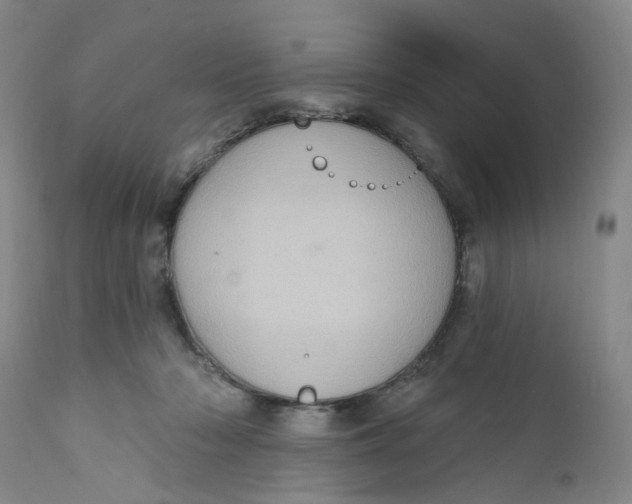 X0000112380318200909101353