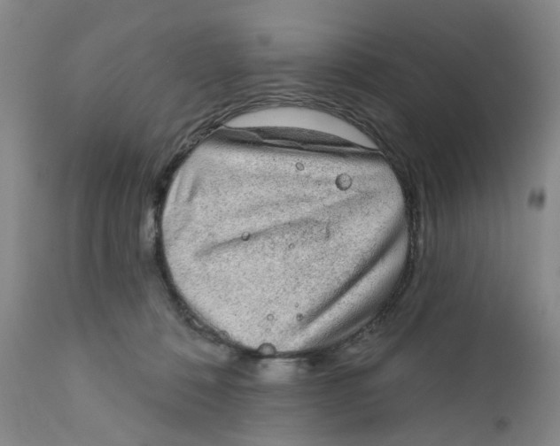 X0000112380320200909101353