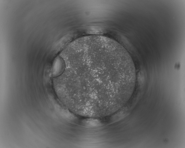 X0000112380322200909101353