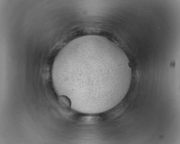 X0000112380323200909101353