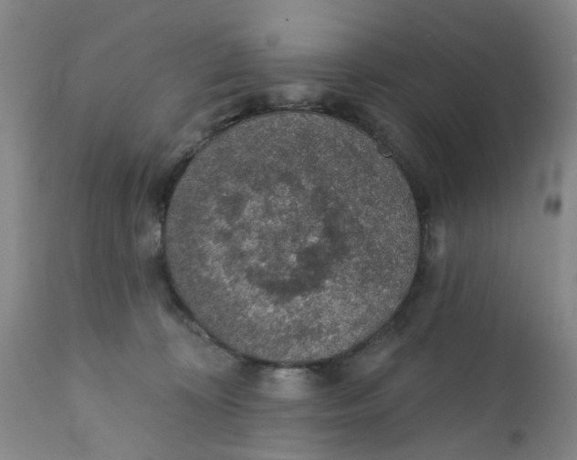 X0000112380324200909101353