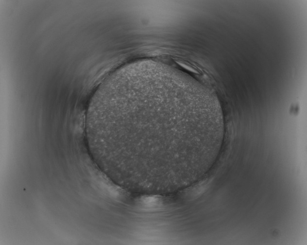 X0000112380325200909101353