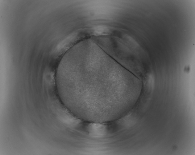 X0000112380327200909101353