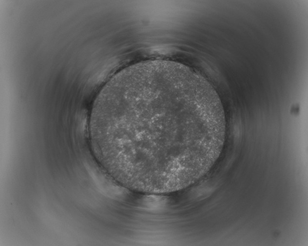 X0000112380328200909101353