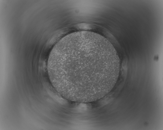 X0000112380330200909101353