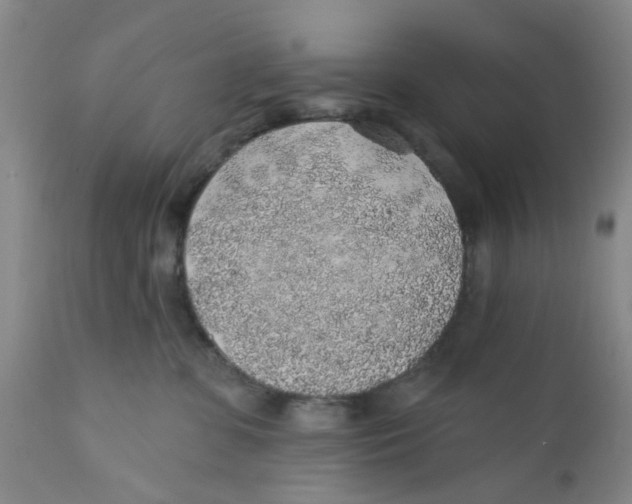 X0000112380331200909101353