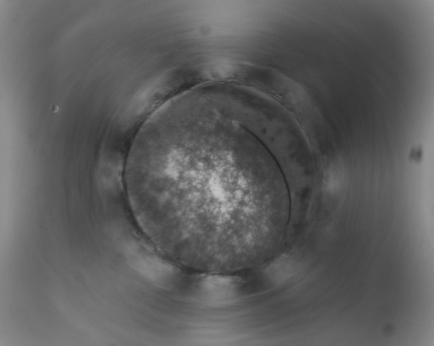 X0000112380332200909101353