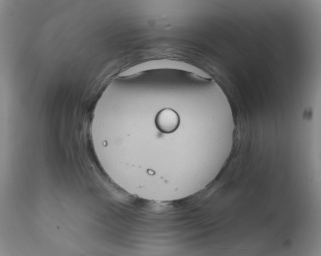 X0000112380333200909101353