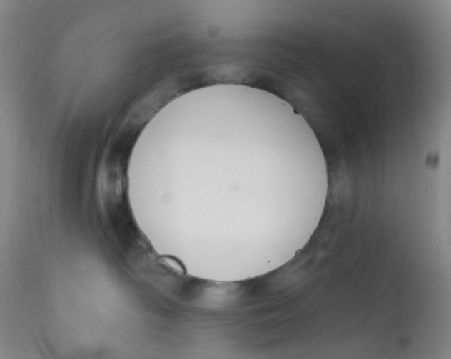 X0000112380334200909101353