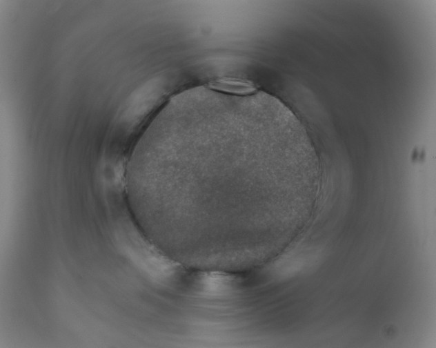 X0000112380336200909101353