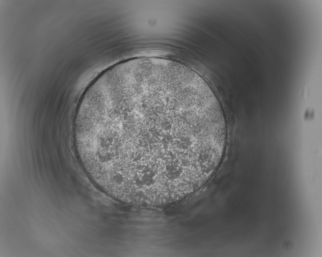 X0000112380337200909101352