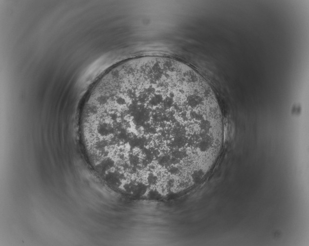 X0000112380339200909101352