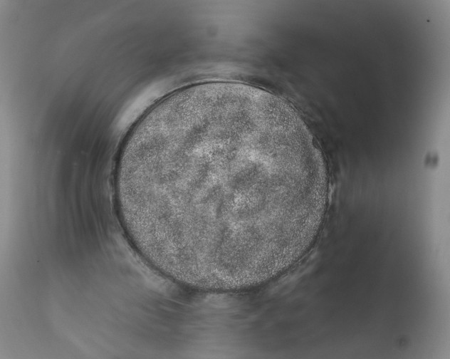 X0000112380341200909101352