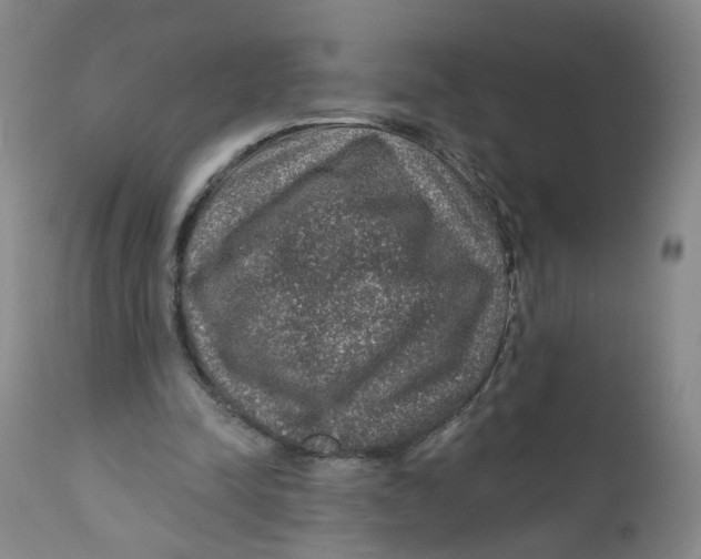 X0000112380342200909101352