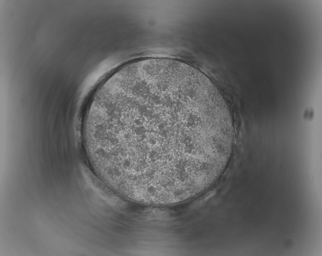 X0000112380343200909101352