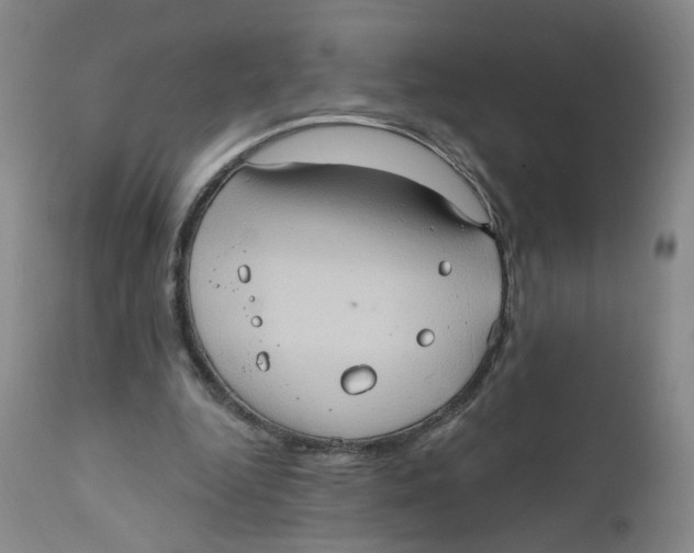 X0000112380344200909101352