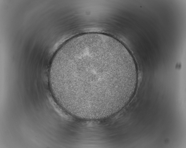 X0000112380345200909101352