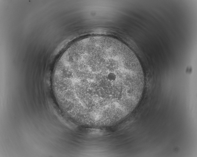 X0000112380347200909101352