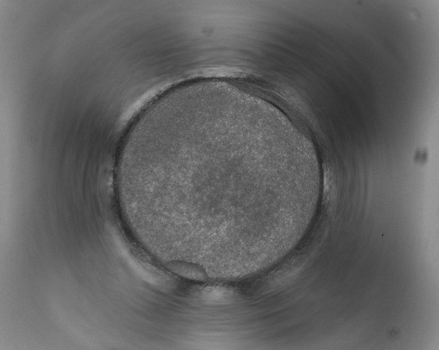 X0000112380348200909101352